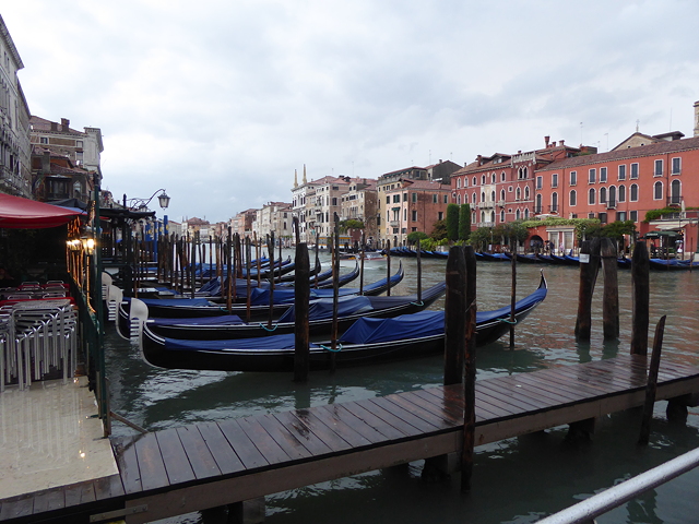Gondeln auf dem Canale Grande