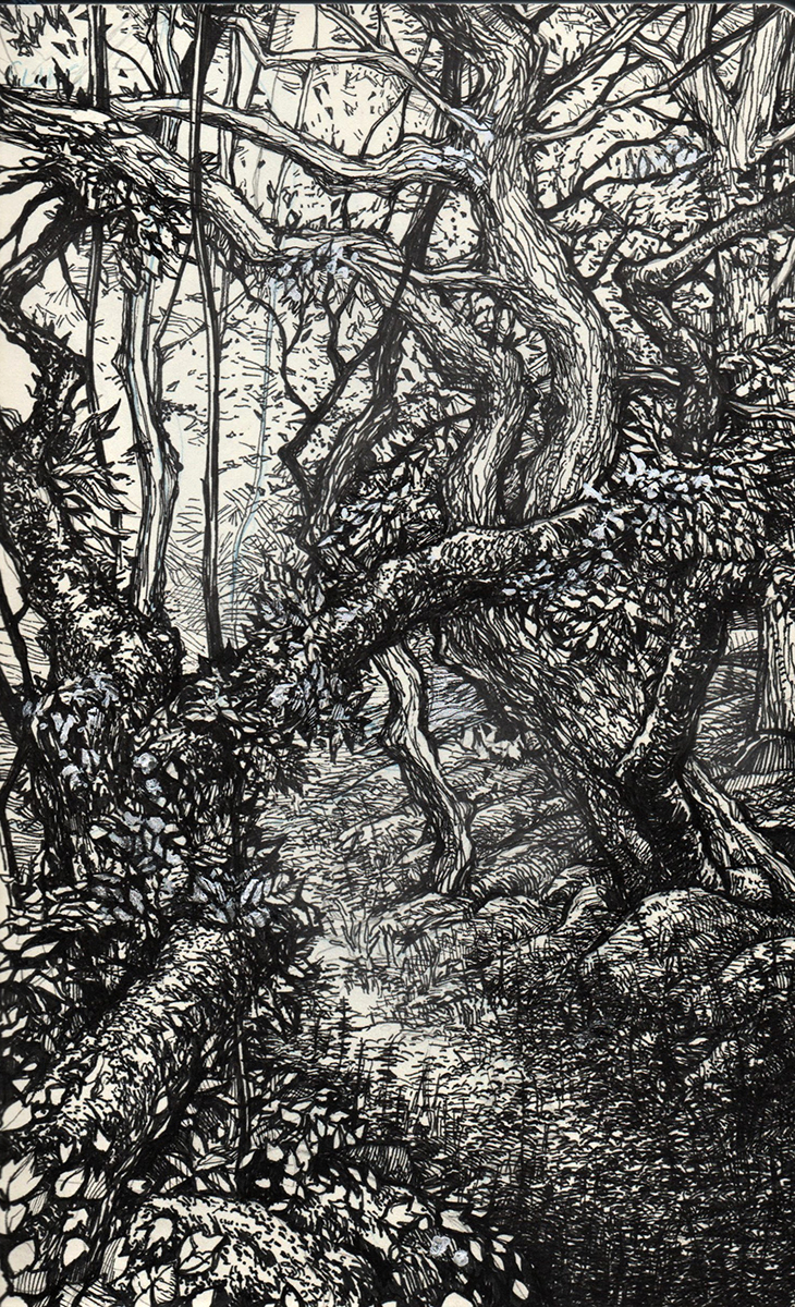 Sketches Section